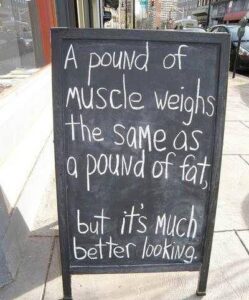 A Pound of Muscle Weighs the Same as a Pound of Fat, But Looks Much Better